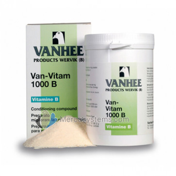 Vanhee Van-Vitamin 1000B