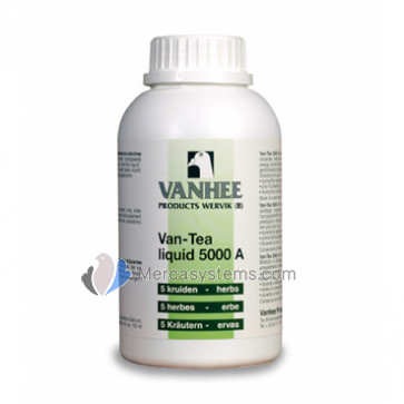 Vanhee Van Tea 5000A