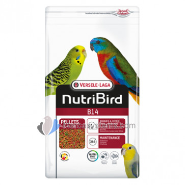 NutriBird B14 800gr (balanced complete maintenance food for budgies and other small parakeets) 