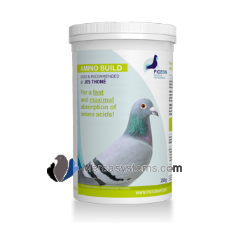 Pigeons & Birds products: PHP Amino Build 250gr, (For a FAST and MAXIMAL absorption of amino acids!)