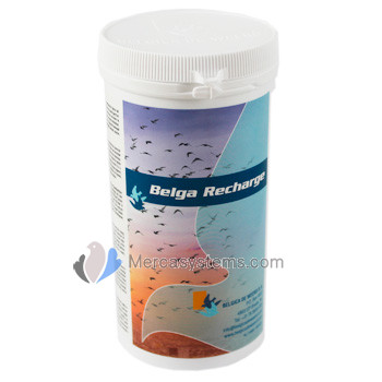 Belgica De Weerd Belga Recharge 300gr (Proteins for faster recovery). For pigeons