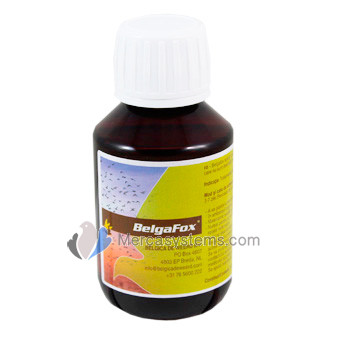 Belgafox 100 ml "by Belgica de Weerd" (intestinal bacterial infections)