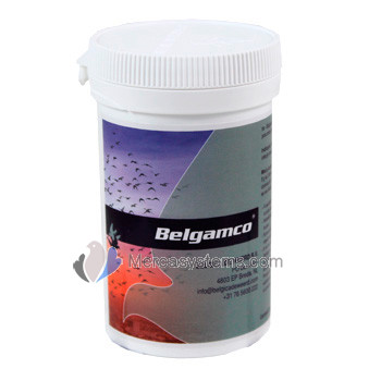 Belgica De Weerd Belgamco 80g tube (Adenocoli-syndrome). Pigeons Products