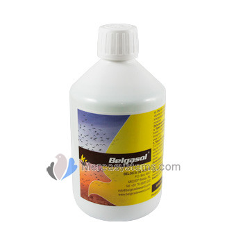 Belgica De Weerd Belgasol 250 ml (electrolytes, vitamins, traceelements and amino acids)