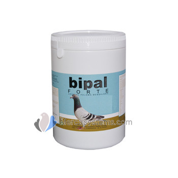 Bipal forte for Racing Pigeons