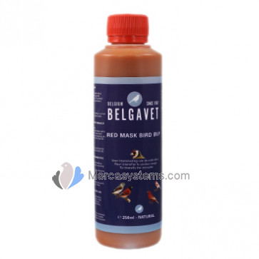 BelgaVet Redmask Bird 250ml (100% natural red pigment). For cage birds