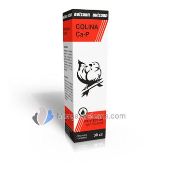 Avizoon Pigeons Products, Colina Ca-P 30 ml