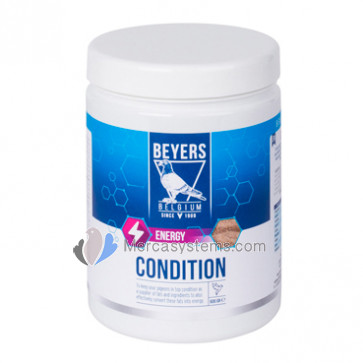 Beyers Condition Plus 600gr