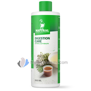 Natural Digestion Care 500 ml, 