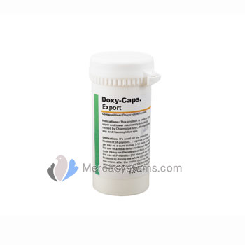 Pigeons Produts and Supplies: Doxy-Caps Export 100 capsules, (upper and lower respiratory infections)