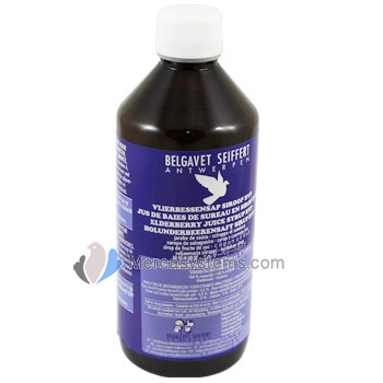 BelgaVet Elderberry juice sirop 500ml (keep your pigeons healthy) 