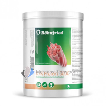 Rohnfried K+K Eiweip 3000, 500gr (Protein Concentrate)