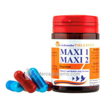 The Racing Pigeons Supplies Store: Tollisan Maxi I and II capsules, (the secret of the Belgian and Dutch champions). Racing pigeons