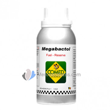 Comed Megabactol