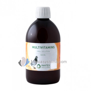 Pantex Multivitamins 500 ml (concentrated multivitamin)