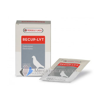 Versele Laga Pigeons Products, recup-lyt electrolyte
