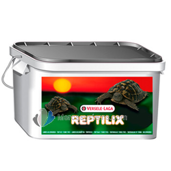 Versele-Laga Reptilix Tortoise 1kg (Enriched feed) For land turtles (tortoise)