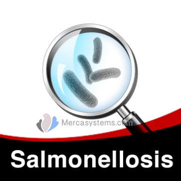 Salmonellosis Individual Treatment Plan in Pigeons