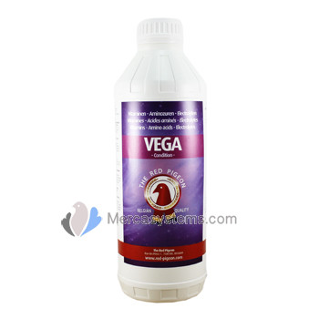 The Red Pigeon Vega 1 liter, vitamins, amino acids, electrolytes)