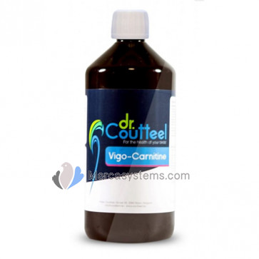 Dr Coutteel Vigo-Carnitine 1L, (L-carnitine enriched with agnesium, choline, inositol). Racing Pigeons