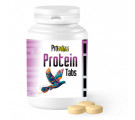 Prowins Protein 100 Tabs (Power + Muscle Recovery)