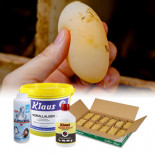 Treatment to correct the problem soft shell eggs