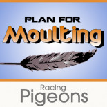 Moulting Scheme 2021 for Racing Pigeons
