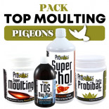 Prowins Top Moulting Pigeons Pack, (it all starts with an excellent moulting) 