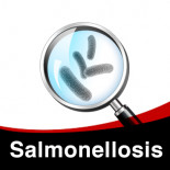 Salmonellosis Treatment Plan in Cage Birds