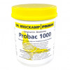 Dr Brockamp Probac 1000 500gr (Probiotic Electrolyte) for Racing Pigeon