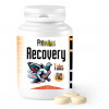 Prowins Recovery Tabs 100 + 25 FREE, (Instant and complete recovery). For racing pigeons.