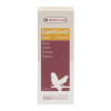 Versele-Laga Canto-Vit Liquid Suppliment 30 ml (vitamins). For Cage Birds